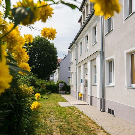 Apartament Na Wspolnej Ельблонг Екстер'єр фото